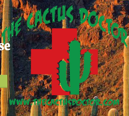The Cactus Doctor To The Rescue